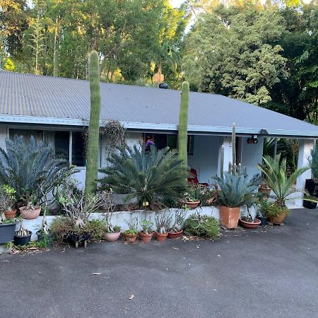 Ancient Gardens Guesthouse & Botanical Gardens Eudlo Esterno foto