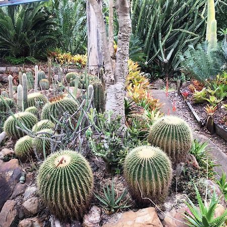 Ancient Gardens Guesthouse & Botanical Gardens Eudlo Esterno foto