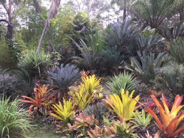 Ancient Gardens Guesthouse & Botanical Gardens Eudlo Esterno foto