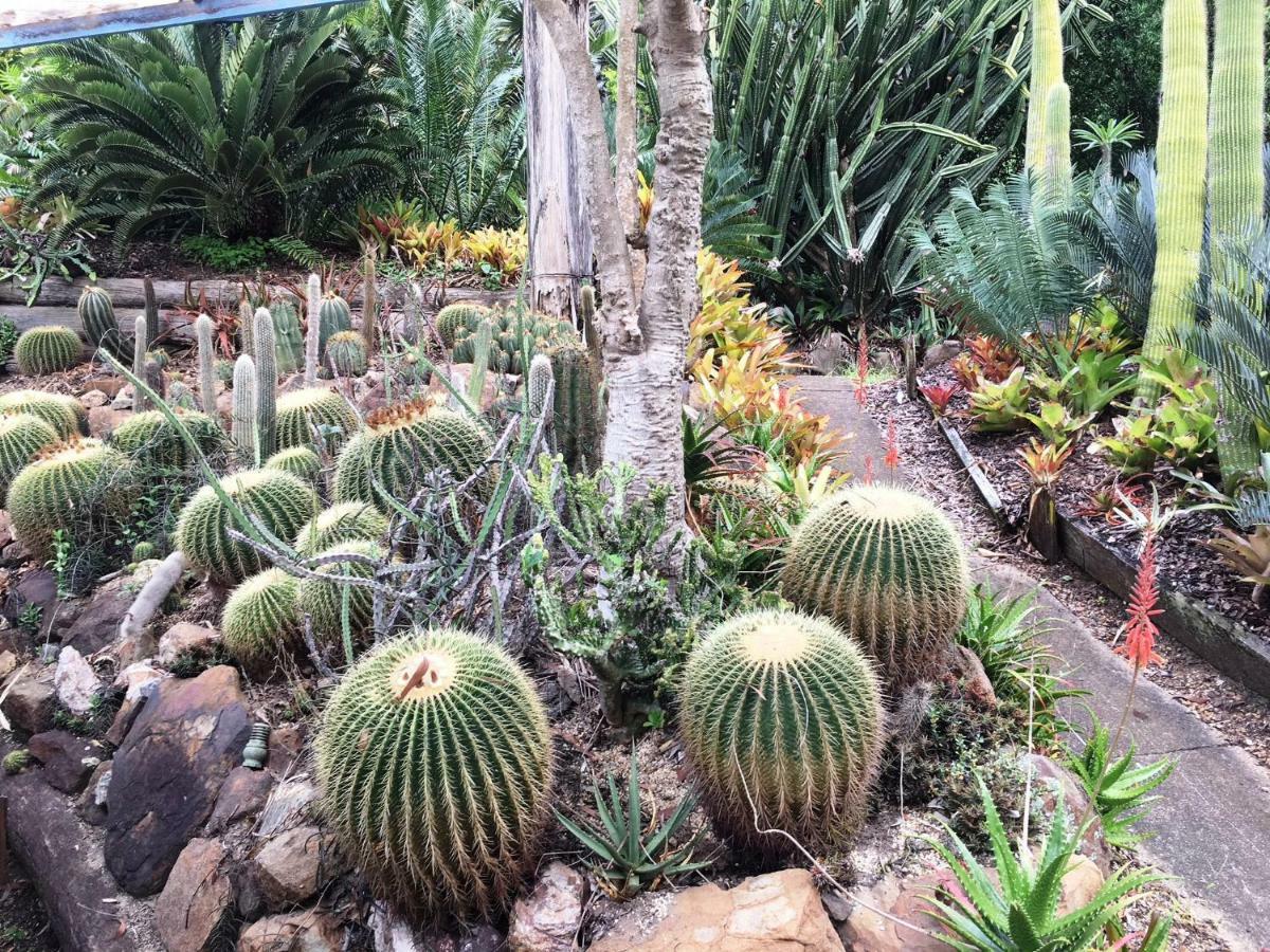 Ancient Gardens Guesthouse & Botanical Gardens Eudlo Esterno foto