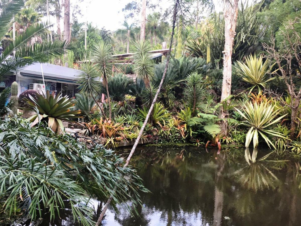 Ancient Gardens Guesthouse & Botanical Gardens Eudlo Esterno foto